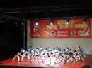 Vrsac 2008