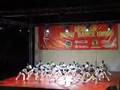 Vrsac 2008