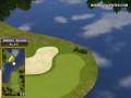 videos de Golden Tee Great Shot on Black Hills!