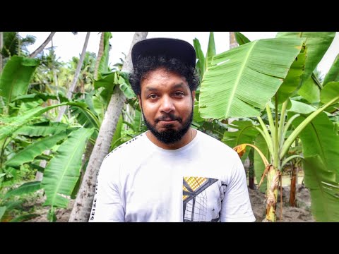 ഇന്നായിരുന്നു എന്റെ കല്യാണം...