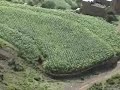 Another vedio clip from Yemen Ibb   رحله الئ اب