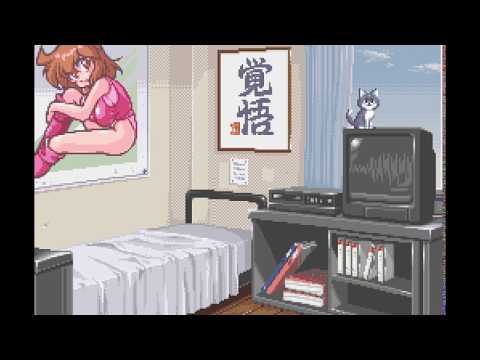 動画