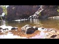Edith Falls