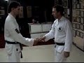 NIHON GOSHIN AIKIDO