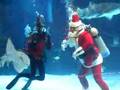 Scuba Santa
