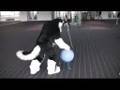 Anthrocon 2008 - Morning Fursuits