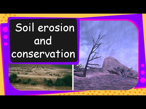 how to eliminate erosion