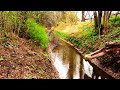 Frühling - Ein Bach in Leipzig