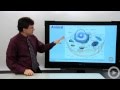 Eukaryotic Cells