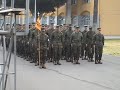 platoon