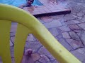 100 6101