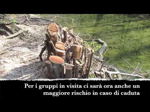 Prof. Dario Gasparo (primo video)