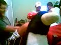 A pinguim tarada parte 1