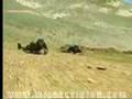 Hakkari Dag ve Komando Tugay Komutanlığı