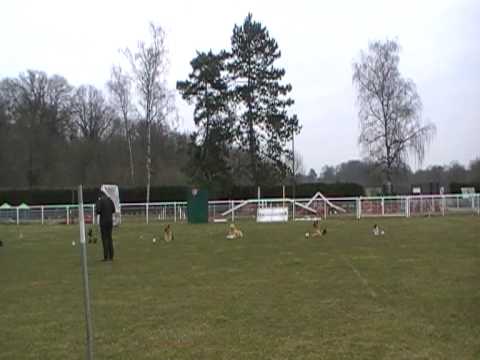 Concours Cantilly 2010 Classe II (5).MOD