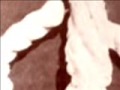 Mahatma Gandhi video Mahatma Gandhi video