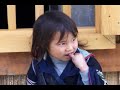 the-lark-ascending.html
