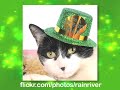 Ultra Kawaii – Happy St. Patrick’s Day!