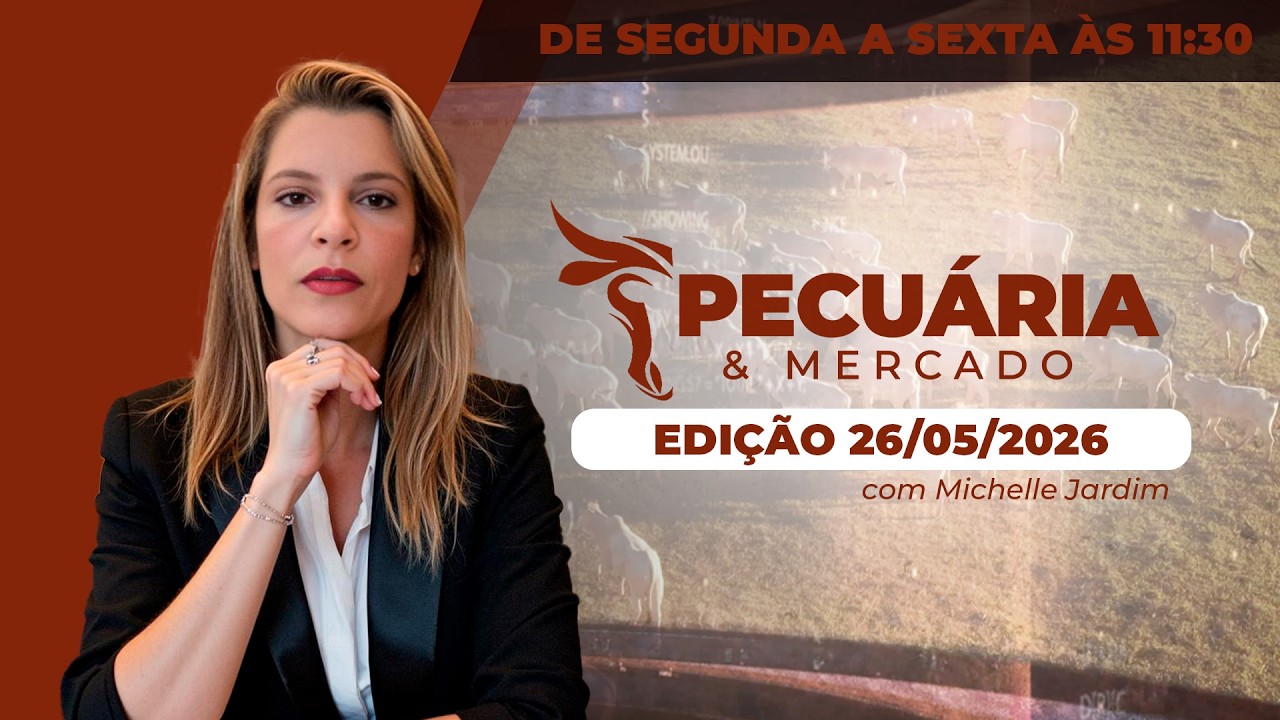 PECUÁRIA E MERCADO - EDIÇÃO 26/05/2026
