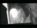 Dreadful Shadows - Craving (1996)