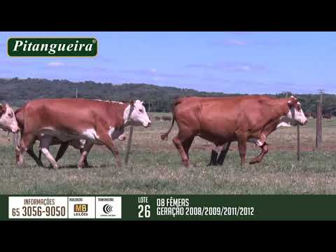 2 DE OLHO NA FAZENDA GRUPO PITANGUEIRA