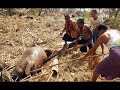 burma-cyclone.html
