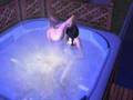 Sims2: Naked [HBD]