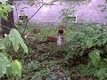 Крампнитц 2