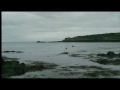 Grey Seals Bardsey Island Wales