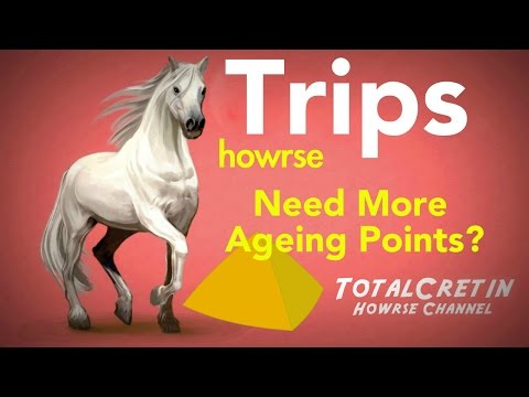 how to get more aging points on howrse