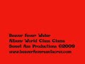 Beaver Fever: Water