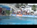 3m Prelims GP Fort Lauderdale View Video