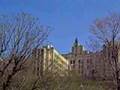 Université de Montréal