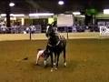 Woman Crushed By Horse