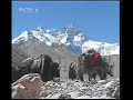 Olympic Torch Relay Mt Qomolangma Chinese Coverage