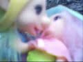 naughty gnomes naughty gnomes