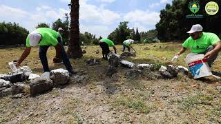 معسكر الثبات 6 مقبرة قيرة وقامون قضاء حيفا