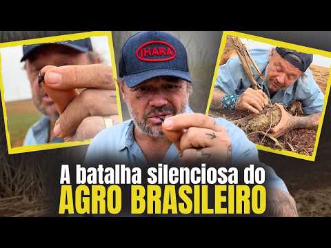 O MONSTRO QUE DESTRÓI A CANA-DE-AÇÚCAR! Conheça o inimigo invisível do agro brasileiro