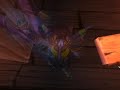Lady Jaina Proudmoore
