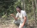 NEVER GET RAIDED Preview- Growing Outdoors NEVER GET RAIDED Preview- Growing Outdoors