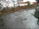 Steelhead Fly Fishing