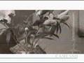 Camusso-Sequence-Eng