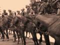 El verano con los caballos