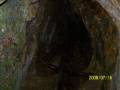 videos de la tigra HONDURAS con Emanuel.wmv