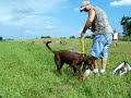 Layla Training 3