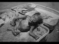 Tr�fico de Animais Silvestres
