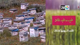 خير لبلاد : الأحد 21 يونيو 2026