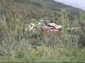 Helicoptero Radio Control Raptor 30 v2