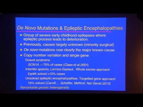 Berkovic SF (2013): Genetics of human epilepsy