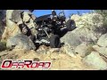 Ver Video